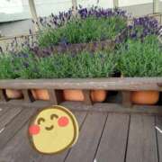 ヒメ日記 2025/05/11 17:24 投稿 しずか 夜這専門発情する奥様たち 難波店