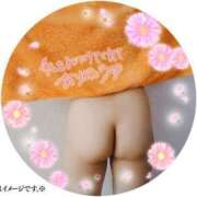 ヒメ日記 2025/05/27 19:24 投稿 しずか 夜這専門発情する奥様たち 難波店