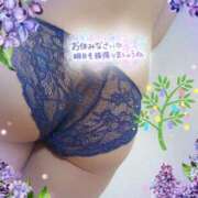 ヒメ日記 2025/07/08 00:04 投稿 しずか 夜這専門発情する奥様たち 難波店