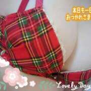 ヒメ日記 2025/08/15 23:04 投稿 しずか 夜這専門発情する奥様たち 難波店