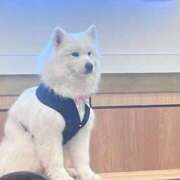 ヒメ日記 2026/03/09 22:22 投稿 あみ プレミアム(福原)