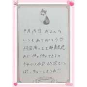 ヒメ日記 2026/09/16 15:21 投稿 あみ プレミアム(福原)