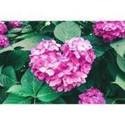 ヒメ日記 2025/06/03 19:04 投稿 小風花紗音 お姉さんCLUB