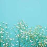 ヒメ日記 2025/10/19 13:09 投稿 小風花紗音 お姉さんCLUB