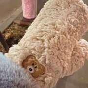 小風花紗音 🙇‍♀️ お姉さんCLUB