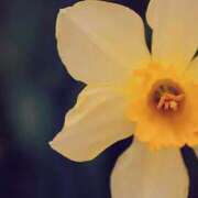 小風花紗音 おつかれさまです💟 お姉さんCLUB