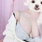 ヒメ日記 2025/05/01 17:43 投稿 はじめ 静岡駅前ちゃんこ