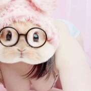 ヒメ日記 2025/05/05 05:18 投稿 はじめ 静岡駅前ちゃんこ