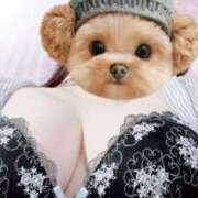 ヒメ日記 2025/05/07 16:58 投稿 はじめ 静岡駅前ちゃんこ