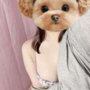 ヒメ日記 2025/05/15 17:48 投稿 はじめ 静岡駅前ちゃんこ