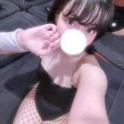 ヒメ日記 2025/04/17 20:18 投稿 リホ バニーコレクション秋田店