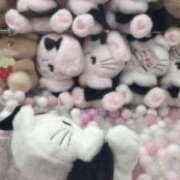 ヒメ日記 2025/07/16 18:14 投稿 なつめ E+アイドルスクール新宿・歌舞伎町店