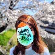 ヒメ日記 2025/04/10 22:44 投稿 このは モアグループ川越人妻花壇