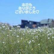 ヒメ日記 2025/04/21 16:42 投稿 このは モアグループ川越人妻花壇