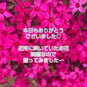 ヒメ日記 2025/04/22 21:00 投稿 このは モアグループ川越人妻花壇