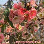 ヒメ日記 2025/04/26 19:28 投稿 このは モアグループ川越人妻花壇