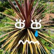 ヒメ日記 2025/04/29 22:15 投稿 このは モアグループ川越人妻花壇