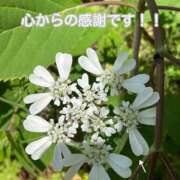 ヒメ日記 2025/04/30 18:29 投稿 このは モアグループ川越人妻花壇