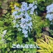 ヒメ日記 2025/05/05 08:55 投稿 このは モアグループ川越人妻花壇