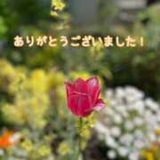 ヒメ日記 2025/05/09 19:49 投稿 このは モアグループ川越人妻花壇