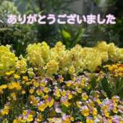 ヒメ日記 2025/05/12 17:20 投稿 このは モアグループ川越人妻花壇