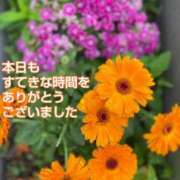 ヒメ日記 2025/05/15 18:45 投稿 このは モアグループ川越人妻花壇