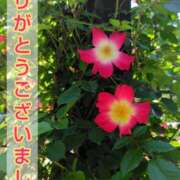 ヒメ日記 2025/05/21 18:02 投稿 このは モアグループ川越人妻花壇