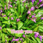 ヒメ日記 2025/05/22 19:33 投稿 このは モアグループ川越人妻花壇