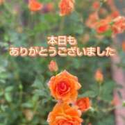 ヒメ日記 2025/05/26 18:08 投稿 このは モアグループ川越人妻花壇