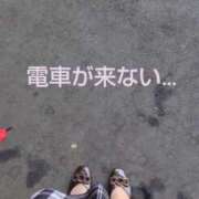 ヒメ日記 2025/06/03 09:09 投稿 このは モアグループ川越人妻花壇