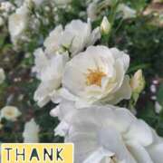 ヒメ日記 2025/06/03 17:54 投稿 このは モアグループ川越人妻花壇