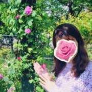 ヒメ日記 2025/06/03 22:28 投稿 このは モアグループ川越人妻花壇