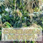 ヒメ日記 2025/06/05 22:41 投稿 このは モアグループ川越人妻花壇