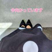 ヒメ日記 2025/06/06 09:04 投稿 このは モアグループ川越人妻花壇