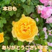 ヒメ日記 2025/06/06 18:04 投稿 このは モアグループ川越人妻花壇