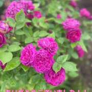 ヒメ日記 2025/06/09 17:57 投稿 このは モアグループ川越人妻花壇