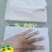 ヒメ日記 2025/06/11 09:00 投稿 このは モアグループ川越人妻花壇