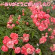 ヒメ日記 2025/06/11 17:28 投稿 このは モアグループ川越人妻花壇