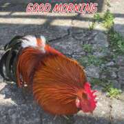 ヒメ日記 2025/06/14 09:09 投稿 このは モアグループ川越人妻花壇