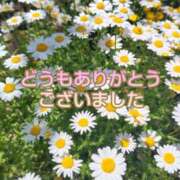 ヒメ日記 2025/06/16 18:17 投稿 このは モアグループ川越人妻花壇