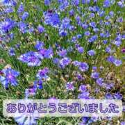 ヒメ日記 2025/06/18 16:25 投稿 このは モアグループ川越人妻花壇