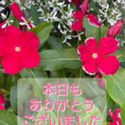 ヒメ日記 2025/06/19 17:15 投稿 このは モアグループ川越人妻花壇