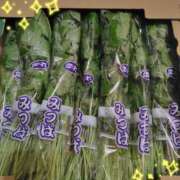 ヒメ日記 2025/06/20 21:19 投稿 このは モアグループ川越人妻花壇