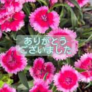 ヒメ日記 2025/06/23 16:52 投稿 このは モアグループ川越人妻花壇