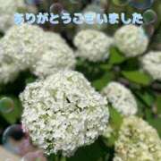 ヒメ日記 2025/06/28 16:59 投稿 このは モアグループ川越人妻花壇