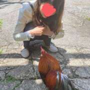 ヒメ日記 2025/06/29 22:11 投稿 このは モアグループ川越人妻花壇