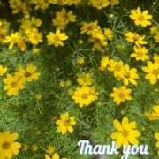 ヒメ日記 2025/06/30 16:17 投稿 このは モアグループ川越人妻花壇