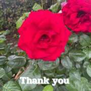 ヒメ日記 2025/07/01 17:31 投稿 このは モアグループ川越人妻花壇