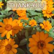 ヒメ日記 2025/07/04 17:42 投稿 このは モアグループ川越人妻花壇