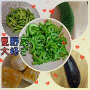 ヒメ日記 2025/07/05 22:44 投稿 このは モアグループ川越人妻花壇